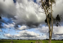 开云：[德甲]第16轮：法兰克福VS门兴格拉德巴赫.