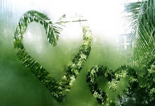 开云：2025年大乐透首个亿元奖诞生：福建爆1.11亿巨奖.